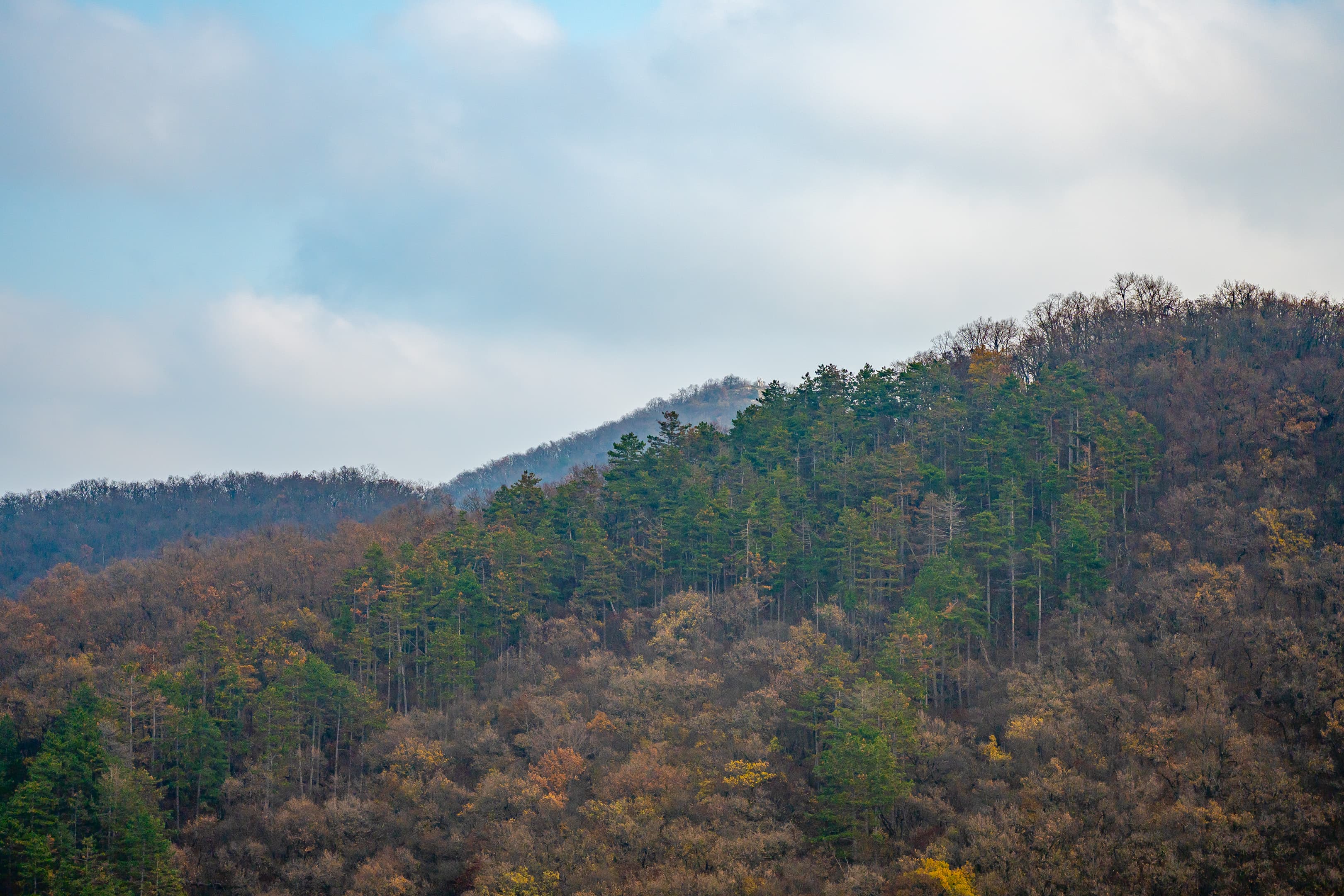 Solymár Residence - 31